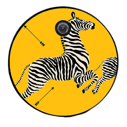 Zebra Tire Cover