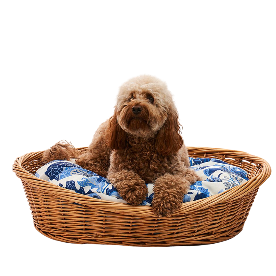 Exotic Butterfly (Marine) Wicker Dog Bed